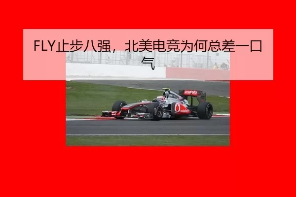 FLY止步八强，北美电竞为何总差一口气