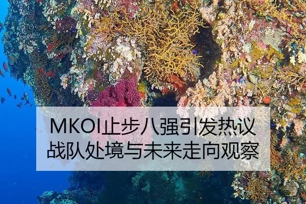 MKOI止步八强引发热议 战队处境与未来走向观察